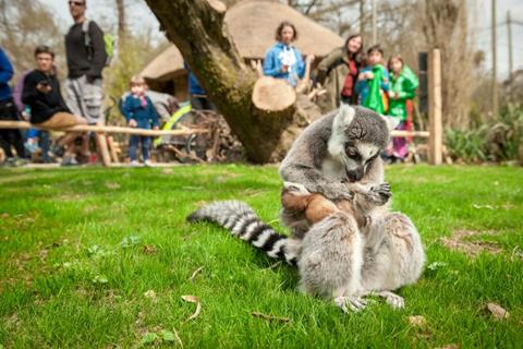 foto: Planckendael