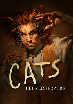 foto: Cats