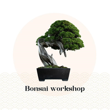 foto: bonsai workshop