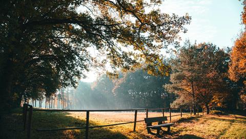 foto: natuurlandschap in de herfst